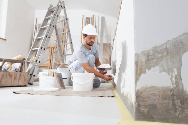Newport Beach, CA Mold Removal Company
